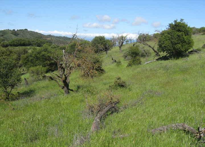 Stevens Creek Reservoir